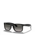 RB 4165 601/8G 55 Unisex Güneş Gözlüğü - 1