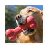 Kong Goodie Bone Kemik Şeklinde Çok Amaçlı Köpek Oyuncağı L thumbnail 3