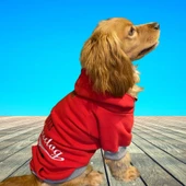 Alphadog Leader Red Orta-Büyük Irk Köpek Sweatshirtü (11 kg-36 kg arası köpeklere uygundur) thumbnail 1