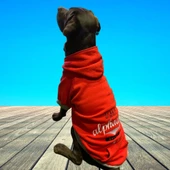 Alphadog Leader Red Orta-Büyük Irk Köpek Sweatshirtü (11 kg-36 kg arası köpeklere uygundur) thumbnail 2