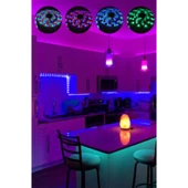 Dempower 10 Metre Şerit Led - 5