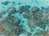 Galison Hawaii Plajı Puzzle - 6