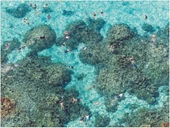 Galison Hawaii Plajı Puzzle - 8