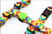 Tailpetz Rainbow Göğüs Tasmasi M - 2