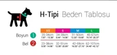 Tailpetz Rainbow Göğüs Tasmasi M - 3