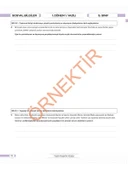 6. Sınıf Tüm Dersler Konu Özetli Yazılı Hazırlık Seti 1 ve 2. Dönem thumbnail 4