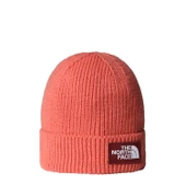 The North Face TNF Logo Box Cuffed Unisex Bere NF0A8CHEEED1 - 1
