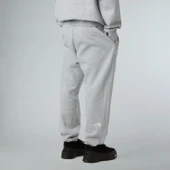 The North Face  Erkek Essentıal Relaxed Straıght Jogger Pantolon  Nf0A8C1Fdyx1 - 5