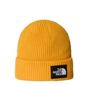 The North Face SALTY LINED BEANIE Unisex Bere NF0A8CGZ56P1 - 1