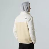 The North Face Erkek YUMIORI FULL ZIP POLAR NF0A883RFR01 thumbnail 5