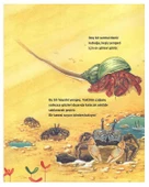 Okyanustaki Dostlarımız Erdem Yayınları thumbnail 3