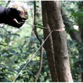 Testere  Cep Tipi Tel Testere  Ahşap Testeresi Budama Bıçkı - 2