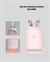 Ultrasonik Hava Nemlendirici 200 ml Aroma Difüzör LED Işıklı Sessiz - 2