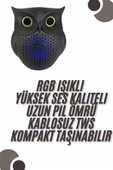 Bluetooth Hoparlör TWS Kablosuz RGB Işıklı Dekoratif Taşınabilir Baykuş - 1