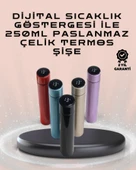 250ml LED Ekranlı Paslanmaz Çelik Akıllı Termos - 1