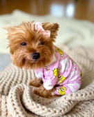 Teddy Toad Penye Köpek Tulum Pijama - 2