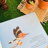 SÜLEYMAN PEYGAMBER thumbnail 3