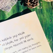 DÜNYANIN EN GÜZEL KALBİ thumbnail 4