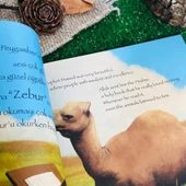 DAVUD PEYGAMBER thumbnail 2