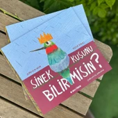 SİNEK KUŞUNU BİLİR MİSİN? (TÜRKÇE) thumbnail 3