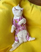 Teddy Toad Penye Kedi Tulum Pijama thumbnail 5