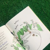 UZUN SOLUCANIN YENİ YOLCULUĞU thumbnail 4