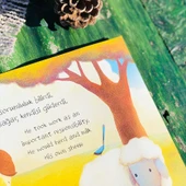 GERÇEK OLSA RÜYALAR thumbnail 3