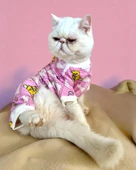 Teddy Toad Penye Kedi Tulum Pijama thumbnail 1