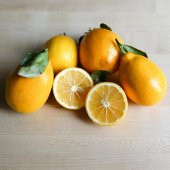 Tüplü Finike Bol Sulu Red Limon Fidanı - 3