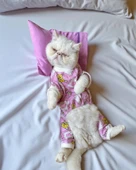 Toad Teddy Penye Kedi Tulum ve Yastık Takım Uyku Seti - 7