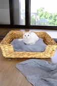 Digithome Hasır Dikdörtgen Kedi ve Köpek Yatağı İç Minderli 60,5 Cm Kahverengi - CL-4038 C1-1-121 - 2