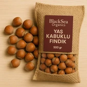 BlackSeaOrganics BlackSea Organics 2025 Yeni Mahsul Kabuklu Fındık 500 Gr thumbnail 3