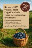 Ev Yapımı Yaban Mersini Reçeli 350g  Katkısız & Geleneksel Üretim - 2