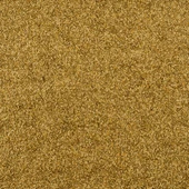 Tetra Guppy Colour Mini Flakes Pul Lepistes Yemi 100ml thumbnail 2