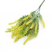 Limonium Sinuatum Deep Yellow Deniz Lavantası Tohumu(30 tohum) - 5