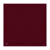 Armine E25Ka9412002 04 Saf İpek Eşarp thumbnail 1