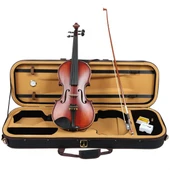 Carlovy VLA8 - 4/4 Keman thumbnail 6