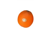 REMO SC-ORNG-01 Portakal Shaker - 1