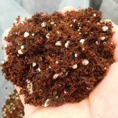Genel Kullanım Torf Kokopit Pomza Özel Karışım Toprak Harcı 60 Lt. - 5