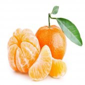 Tüplü Aşılı Yarı Bodur Nova Mandalina Fidanı - 1