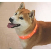 M-Pets Flash Led Boyun Tasma Turuncu (L) - 4