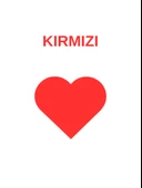 LEDLİ MANET TAKIMI – CBR250 / NS-RS200 / NK250 - 7