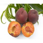 Tüplü Aşılı Lezzetli Royal Gem Şeftali Fidanı thumbnail 1