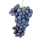 Tüplü Sofralık Çeşit Ribol Üzüm Fidanı thumbnail 4