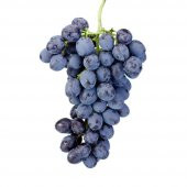 Tüplü Sofralık Çeşit Ribol Üzüm Fidanı thumbnail 2