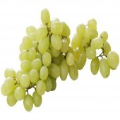 Tüplü Geç Çiçeklenen Victoria Üzüm Fidanı thumbnail 2