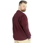 Erkek Sweatshirt Bisiklet Yaka Basic 20131 Mürdüm - 2