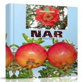 Nar Kitabı - 3