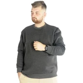 Erkek Sweatshirt Bisiklet Yaka Basic 20131 Antramelanj thumbnail 3