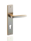 Berlin Aynalı & Rozetli Kapı Kolu - 1